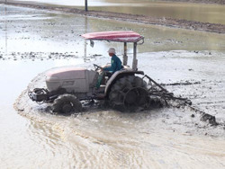 Nông dân huyện Lắk chủ động sản xuất vụ đông xuân