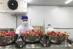 Rau quả chế biến vào nhóm hàng tỷ đô