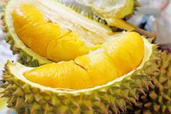 Sầu riêng mang về gần nửa tỷ đô la