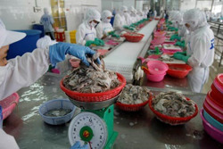 Nông sản rộng cửa xuất khẩu