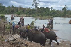 6 con voi nhà chính thức chấm dứt cõng khách