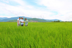 Gỡ “nút thắt” trong quản lý, sử dụng đất nông nghiệp