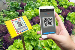 Số hóa truy xuất nguồn gốc nông sản