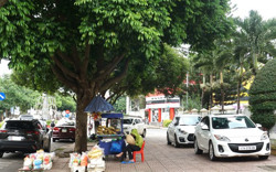 Thành phố Buôn Ma Thuột: Không để xảy ra tình trạng chiếm dụng vỉa hè, lòng đường và nơi công cộng để trông giữ xe