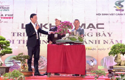 Đấu giá tác phẩm sinh vật cảnh gây quỹ từ thiện