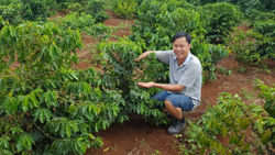 “Thủ phủ” Buôn Ma Thuột: Nhìn từ khát vọng cà phê...