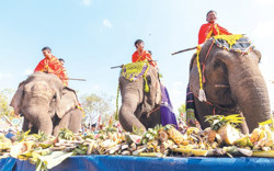 Trẩy hội cùng... voi