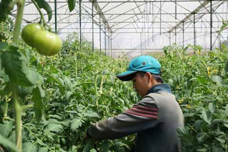 Liên kết để không còn cảnh 'giải cứu'