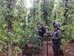 Dự án Đầu tư đường bộ cao tốc Khánh Hòa – Buôn Ma Thuột: Tập trung thực hiện công tác giải phóng mặt bằng