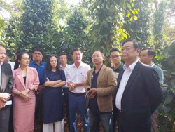 Chia sẻ lợi ích nhiều nhất cho người trồng cà phê