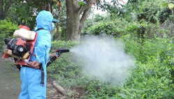 Nguy cơ bùng phát dịch sốt xuất huyết