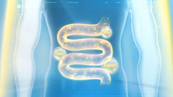 Chế độ dinh dưỡng khoa học để có hệ tiêu hóa khỏe mạnh