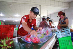 Cơ hội để nông sản bứt phá