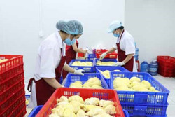 Gia tăng sức cạnh tranh cho sầu riêng xuất khẩu