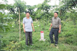 Giải phóng mặt bằng Dự án đường cao tốc Khánh Hòa - Buôn Ma Thuột: "Chìa khóa" dân vận ở Ea Kar