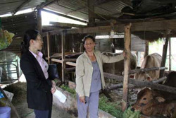 630 tỷ đồng tăng trưởng tín dụng chính sách nguồn vốn trung ương