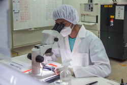 Bấp bênh cơ hội việc làm : An sinh bền vững cho người lao động