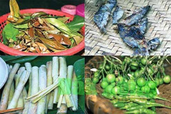 Món ngon từ cây rừng của người M’nông