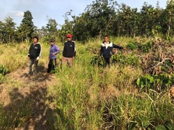 Đắk Lắk: Khởi tố 3 đối tượng hủy hoại rừng