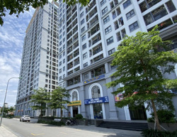 Không bổ sung quy định về thời hạn sở hữu nhà chung cư