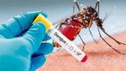 WHO hướng dẫn nhận biết triệu chứng và điều trị bệnh sốt xuất huyết