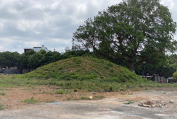 Đắk Lắk: Xây dựng công viên có chủ đề voi