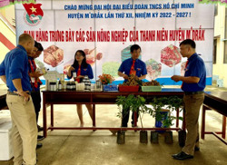 Đồng hành hỗ trợ thanh niên phát triển kinh tế