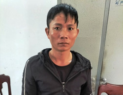 1 mình đánh xe tải từ Đắk Lắk sang Phú Yên trộm 5 con bò, 2 con trâu