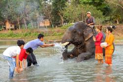 Triển khai chiến dịch truyền thông và du lịch “Tôi cười cùng voi, Tôi ngưng cưỡi voi”