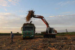 Huyện Ea Súp: Đất cho phát triển nông nghiệp hơn 160.270 ha