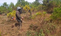 Ứng phó cháy rừng [Bài cuối] Lắk Lắk, Đắk Nông xây dựng nhiều phương án phòng