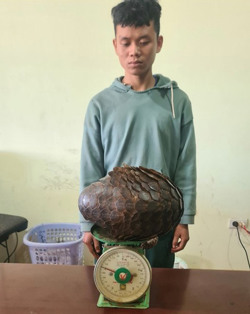 Đắk Nông: Tạm giữ hình sự đối tượng vận chuyển động vật hoang dã, quý hiếm