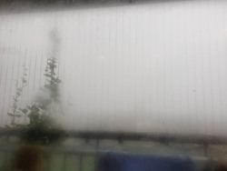 Dự báo về xu thế thời tiết 10 ngày tới