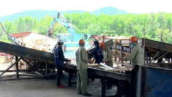 Để rừng và kinh tế vùng Tây Nguyên cùng hướng đến mục tiêu phát triển xanh