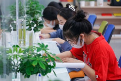 Để chứng chỉ nội không 'lép vế'