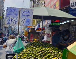 Giá cam sành rẻ bèo giữa mùa nắng nóng gay gắt