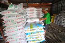 Giá phân bón giảm mạnh nhất trong 2 năm qua