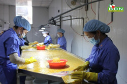 Số hóa truy xuất nguồn gốc nông sản