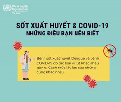 WHO hướng dẫn cách phân biệt sốt xuất huyết và Covid-19