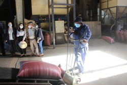 Tổng kim ngạch xuất khẩu quý I/2023 giảm 11% so với cùng kỳ