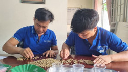 47 đơn vị đăng ký tham gia cuộc thi Cà phê đặc sản Việt Nam 2023