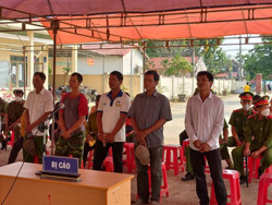 Phạt 11 năm tù giam cho 5 đối tượng hủy hoại rừng