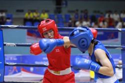 Gần 400 võ sĩ tranh tài tại Giải vô địch boxing các đội mạnh toàn quốc năm 2023