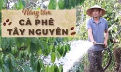 Nâng tầm cà phê Tây Nguyên:  'Số 1 & số 2 quốc gia' chung mục tiêu bền vững