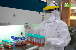 Đắk Nông thực hiện nhiều biện pháp phòng, chống bệnh Whitmore