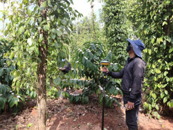 Giao 686 tỷ đồng cho Dự án thành phần 3 Dự án Đầu tư xây dựng đường bộ cao tốc Khánh Hòa - Buôn MaThuột