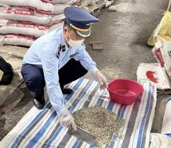 Xử phạt 3 đại lý bán phân bón kém chất lượng