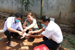 Ngăn ngừa nguy cơ tử vong do bệnh dại: Cần sự phối hợp đồng bộ
