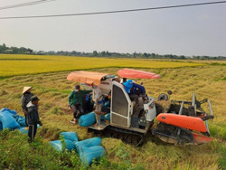 Vụ lúa thắng lợi của nông dân Ea Súp