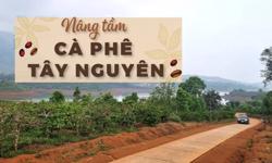 Nâng tầm cà phê Tây Nguyên: Cà phê cảnh quan, nhìn từ xã Đăk Krong